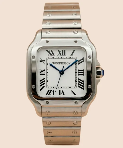 MONSAIN_QUADRE_PRINCIPAL.